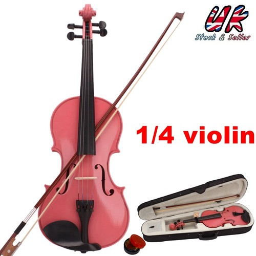 Violin size acoustic - acoustic, case
