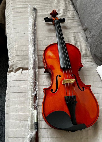 Violin with bow padded - violin, &