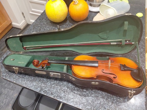 Violin skylark - violin,