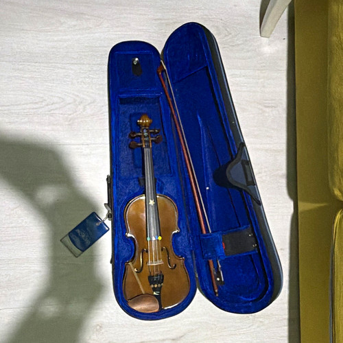 The musician acoustic - musician,