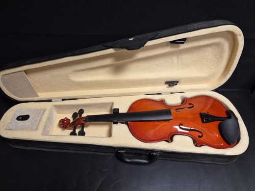 Acoustic violin with hard case - violin,