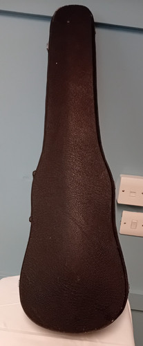 Skylark violin and case - skylark,