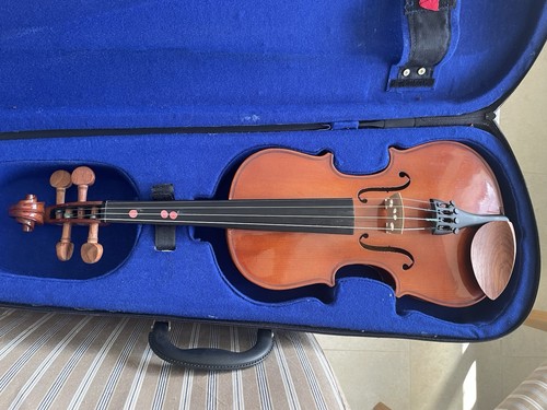 Stentor student violin - stentor,