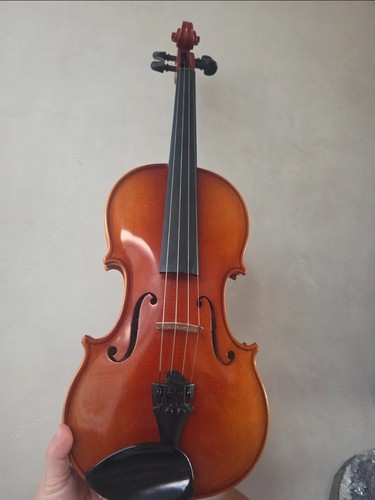 Karl höfner violin model - violin,
