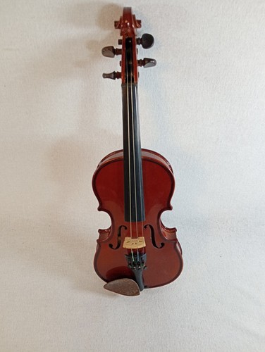 Student violin approx - violin,
