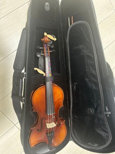 Jay haide violin - jay,