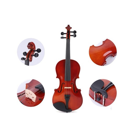 Beginner full size - size, violin
