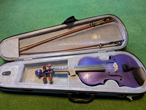 Purple stentor harlequin - stentor, size