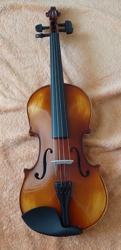 Cased violin unknown make - cased,