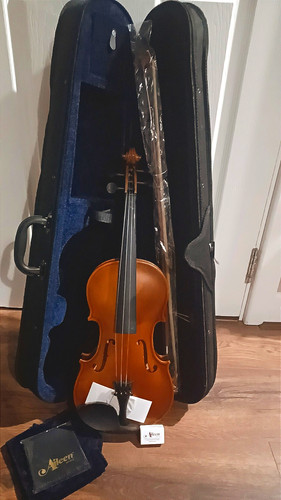 Aileen acoustic violin - 4/4,
