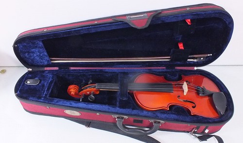 Stentor student 1 2 - ii, 1/2