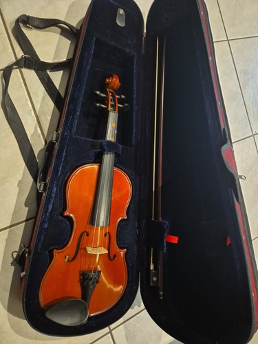 Student violin with hard case - student,