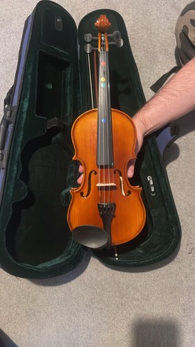 Beautiful violin with case - beautiful,