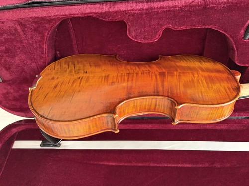 Acoustic string violin - 4-string,